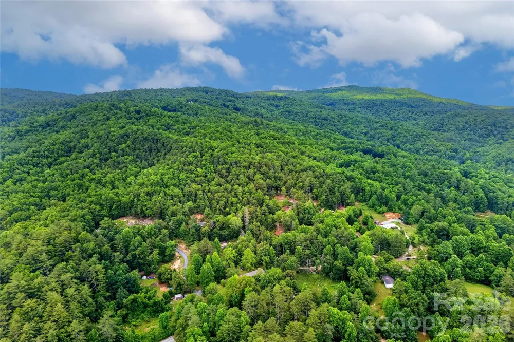 259 E Lester Lane Hendersonville, NC 28739