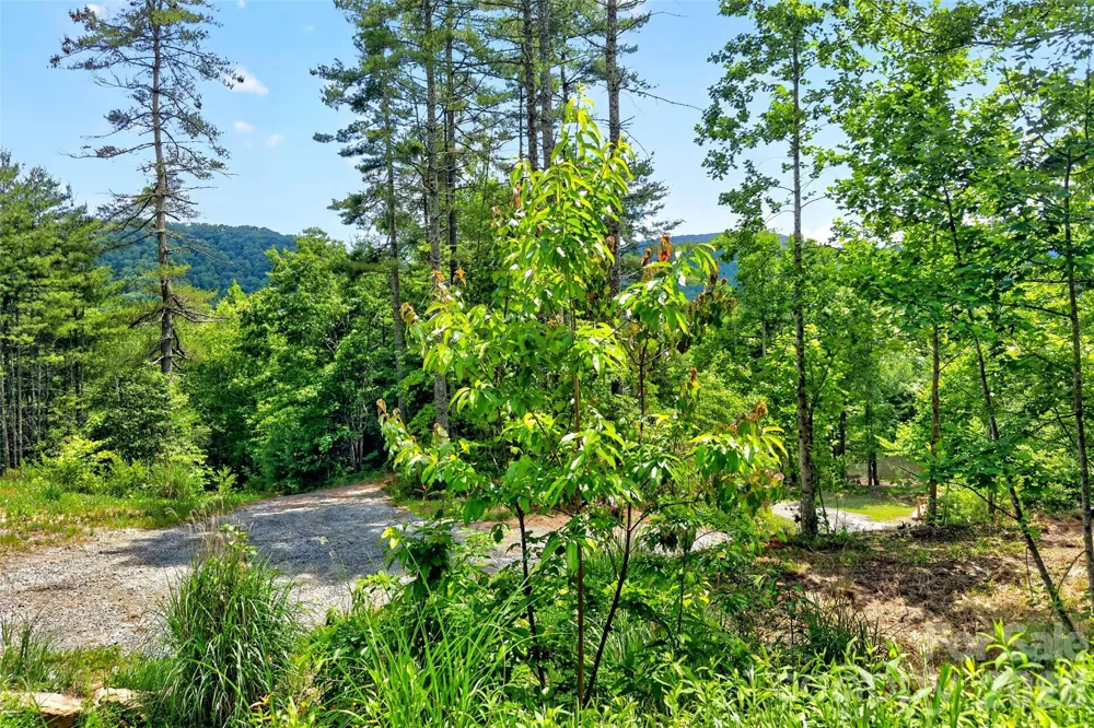 259 E Lester Lane Hendersonville, NC 28739