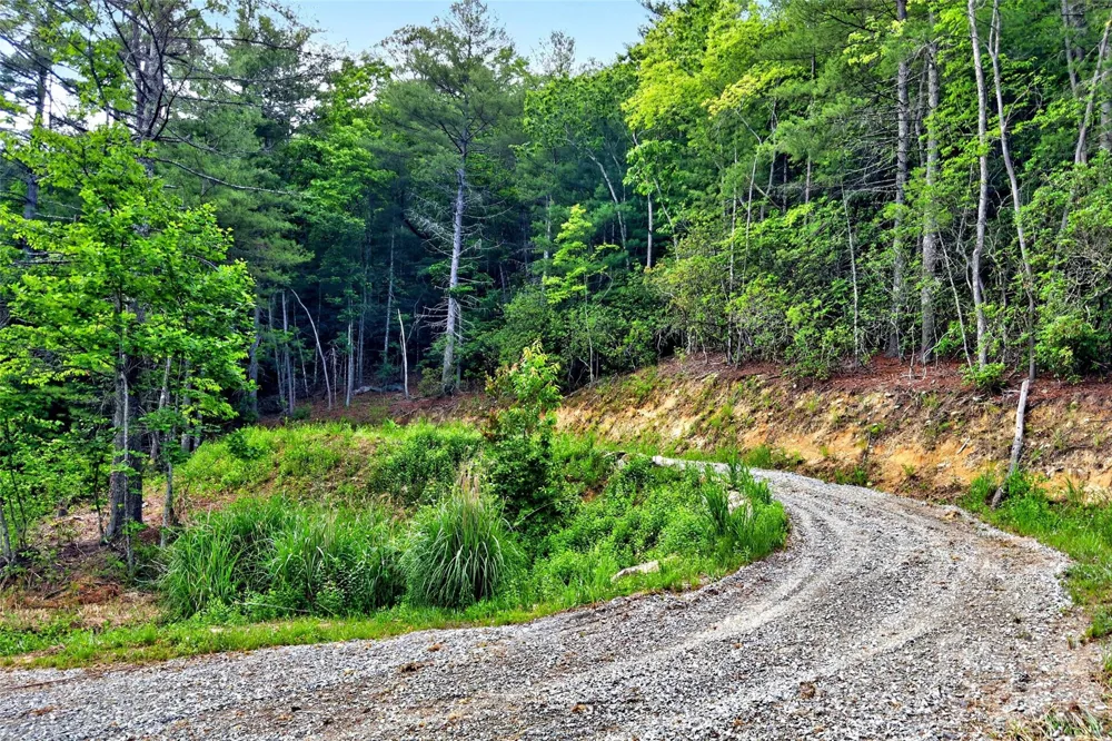 259 E Lester Lane Hendersonville, NC 28739
