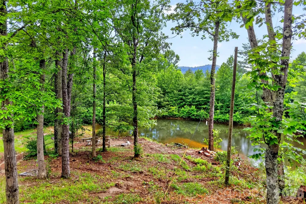 259 E Lester Lane Hendersonville, NC 28739