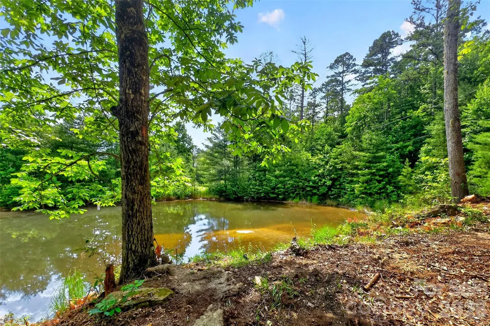 259 E Lester Lane Hendersonville, NC 28739