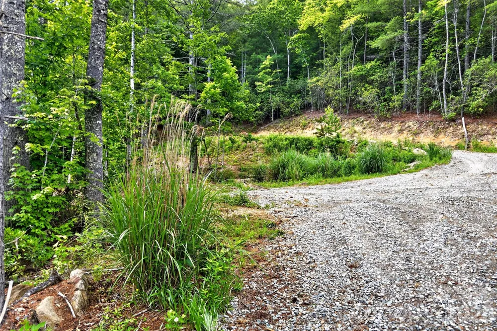 259 E Lester Lane Hendersonville, NC 28739