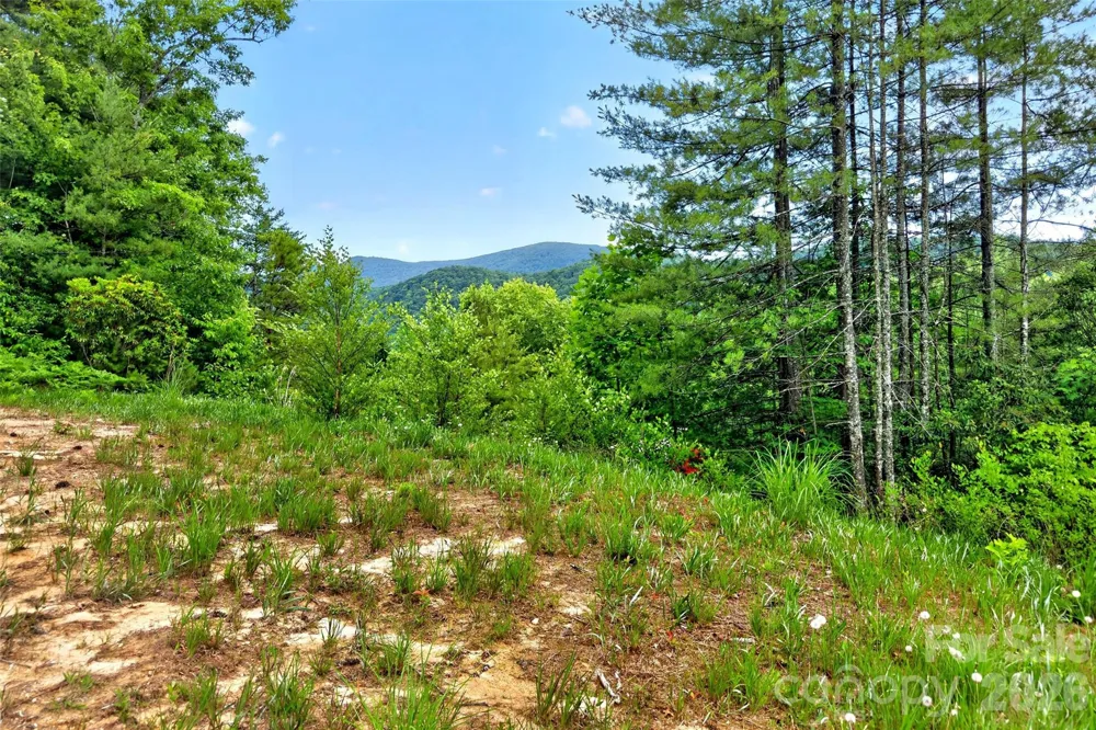 259 E Lester Lane Hendersonville, NC 28739