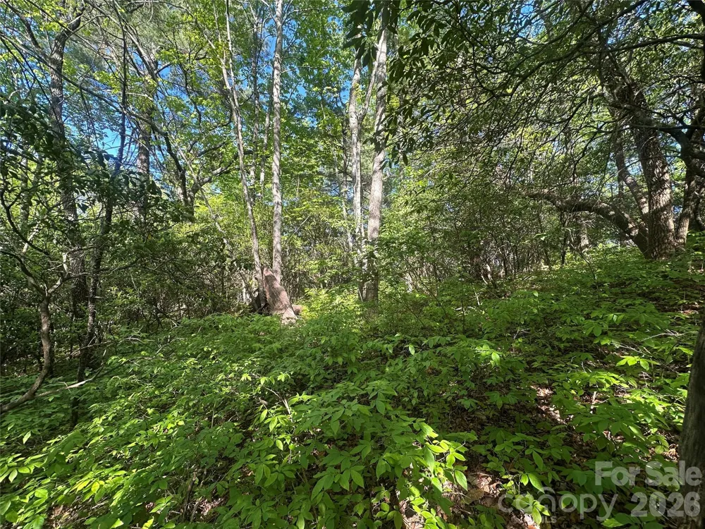 RR 17 Lakeside Drive Lake Toxaway, NC 28747