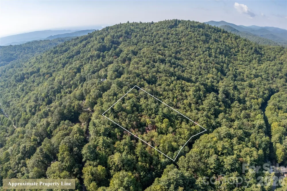 RR 17 Lakeside Drive Lake Toxaway, NC 28747