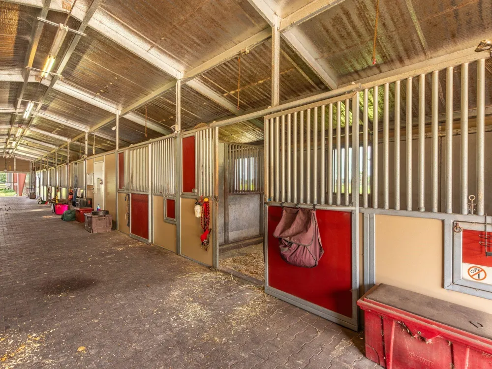 3936 Beasley West End Road Beasley, TX 77417