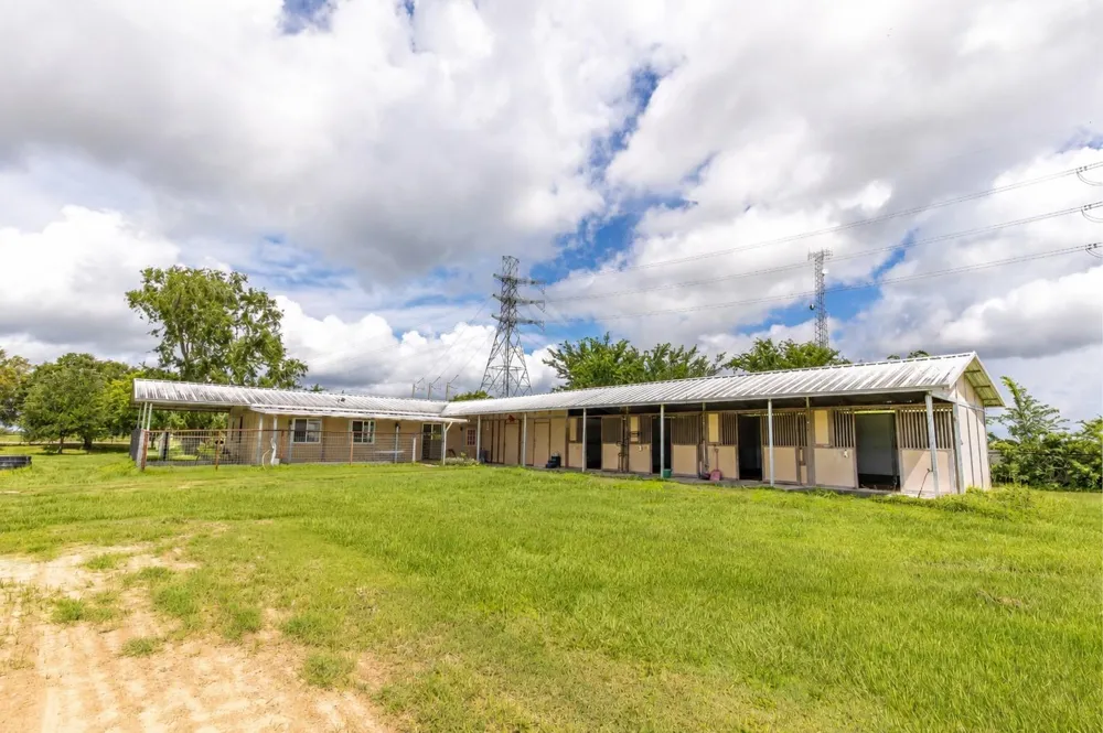 3936 Beasley West End Road Beasley, TX 77417