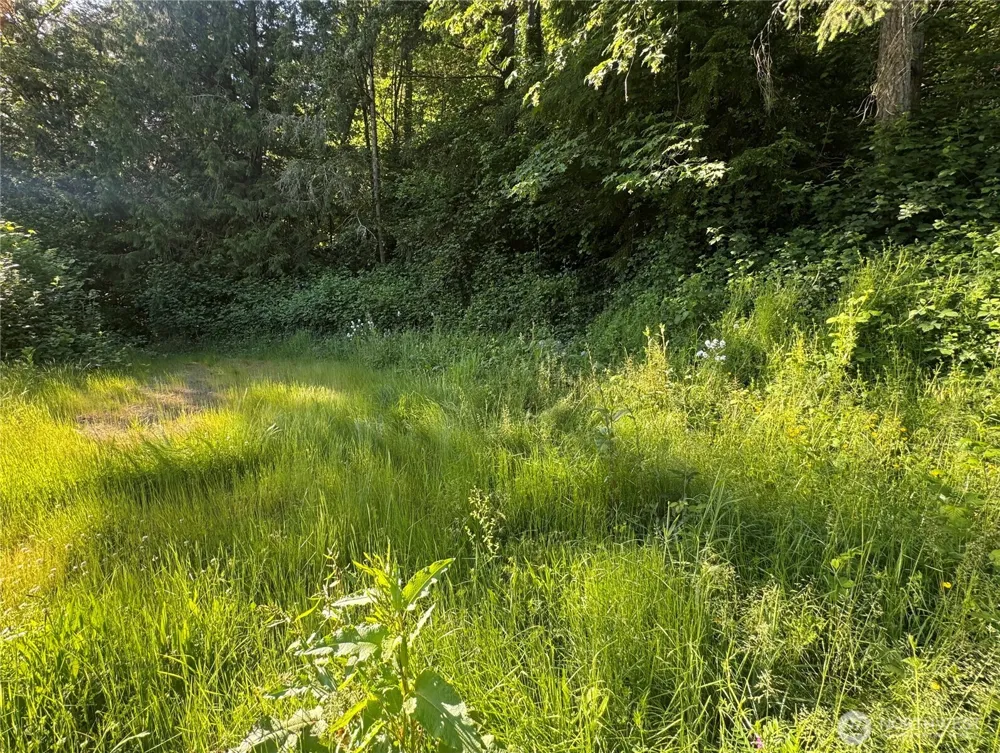 22728 Upper Dorre Don Way SE Maple Valley, WA 98038