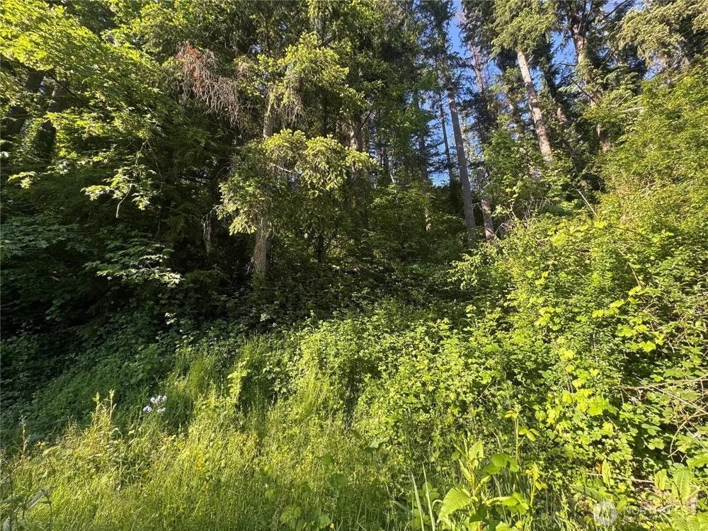 22728 Upper Dorre Don Way SE Maple Valley, WA 98038