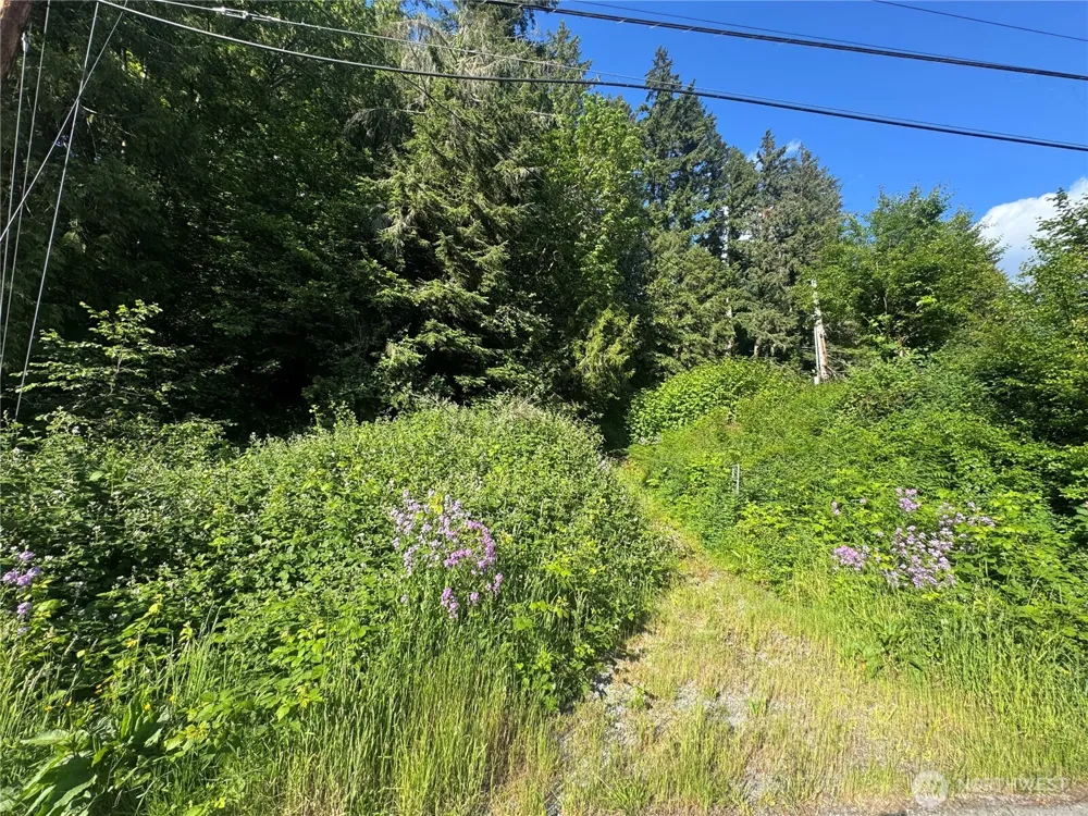 22728 Upper Dorre Don Way SE Maple Valley, WA 98038