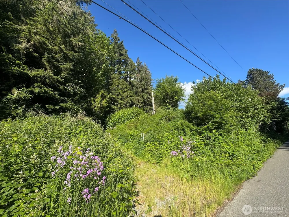 22728 Upper Dorre Don Way SE Maple Valley, WA 98038