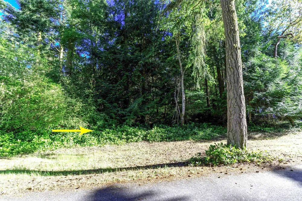 0 Lots 3&4 Grant Street Port Townsend, WA 98368