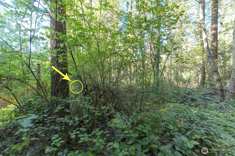 0 Lots 3&4 Grant Street Port Townsend, WA 98368