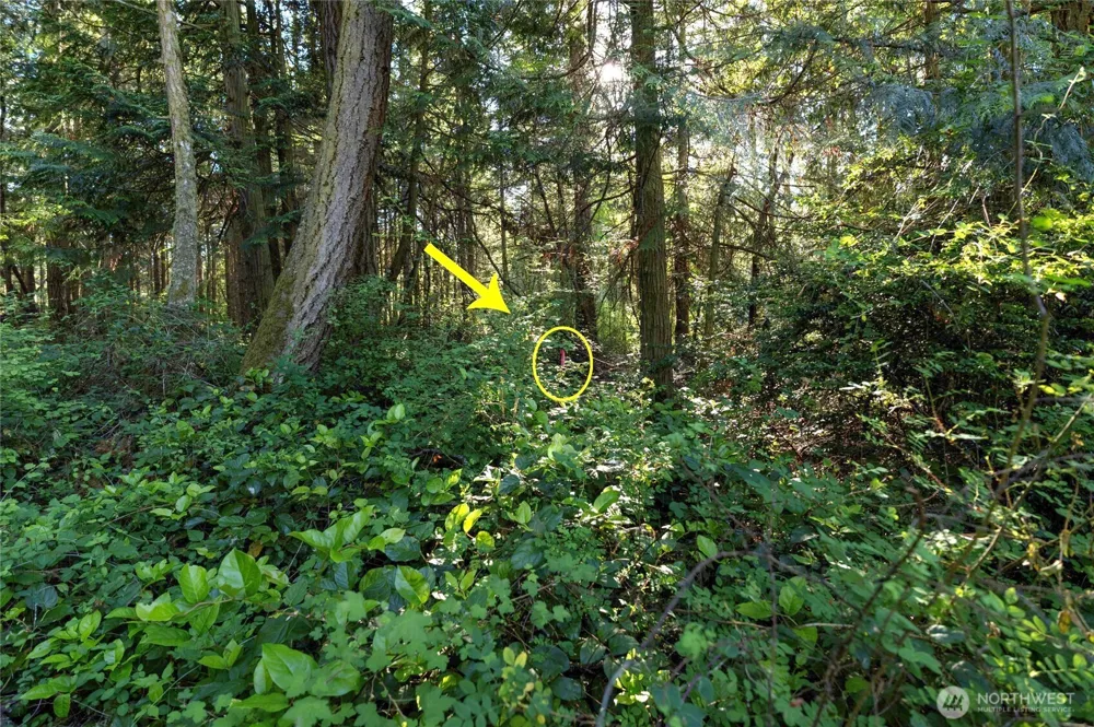 0 Lots 3&4 Grant Street Port Townsend, WA 98368