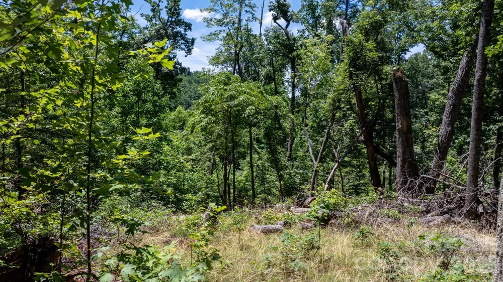 108 Mountain Brook Trail Nebo, NC 28761