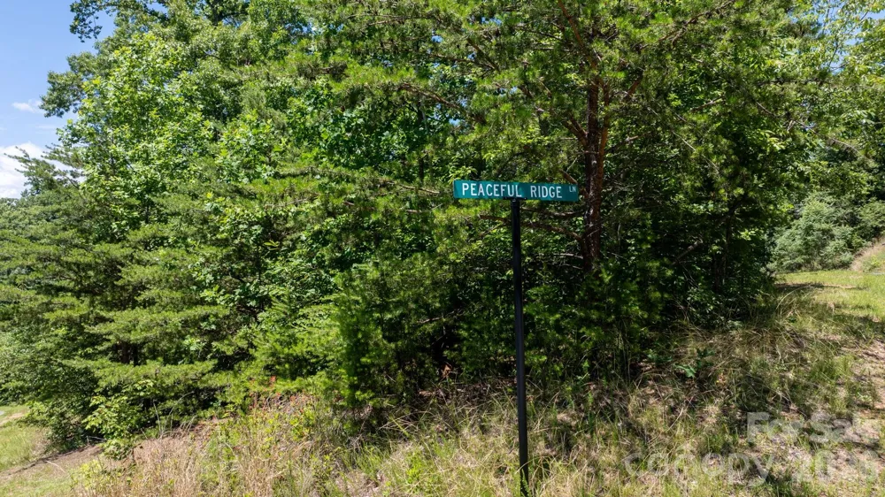 108 Mountain Brook Trail Nebo, NC 28761