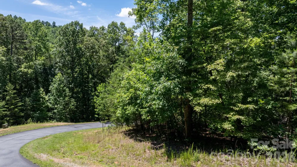 108 Mountain Brook Trail Nebo, NC 28761