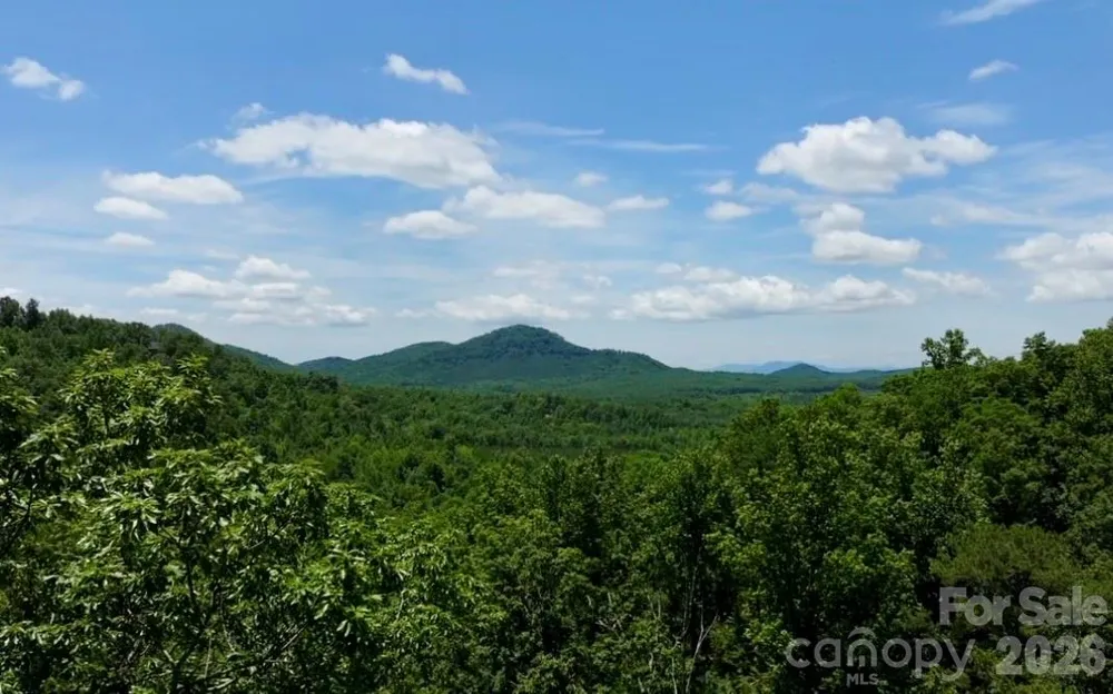 108 Mountain Brook Trail Nebo, NC 28761