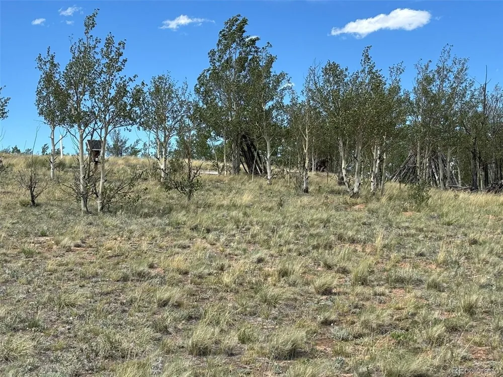 135 Hawk Way Como, CO 80432