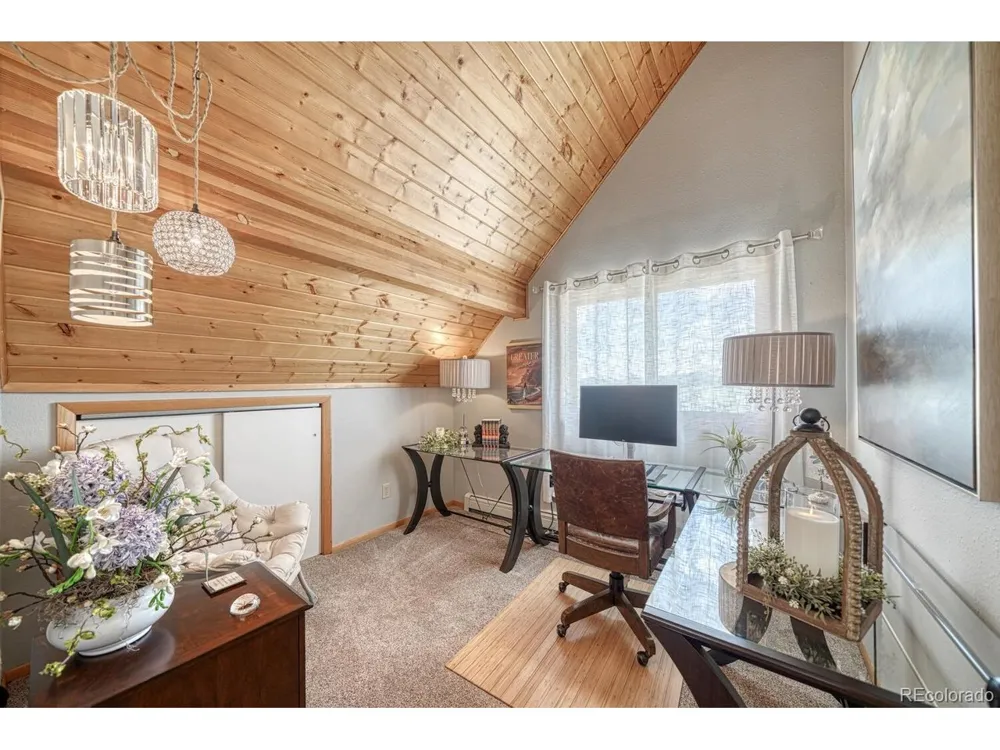 895 Acorn Rd Cotopaxi, CO 81223