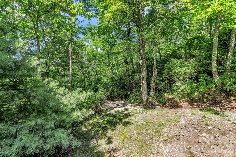 571 Tsisqua Circle Brevard, NC 28712