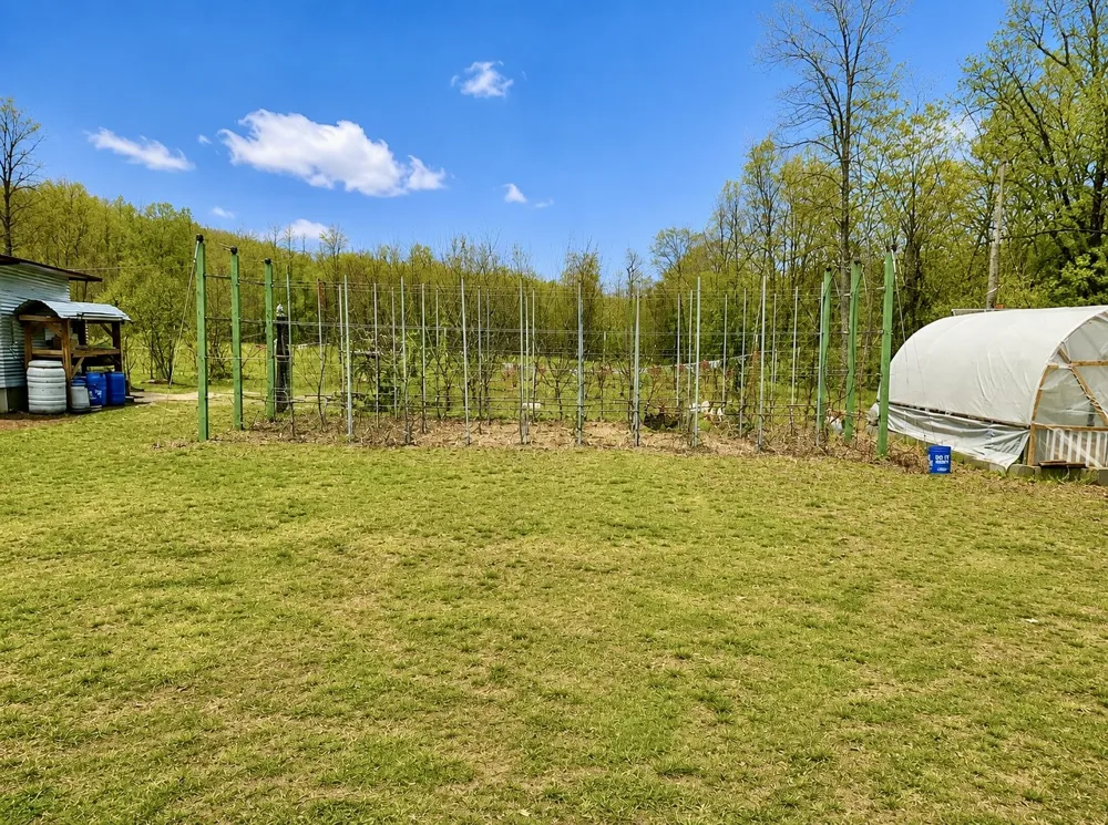 2071 Deer Creek Rd Linden, TN 37096