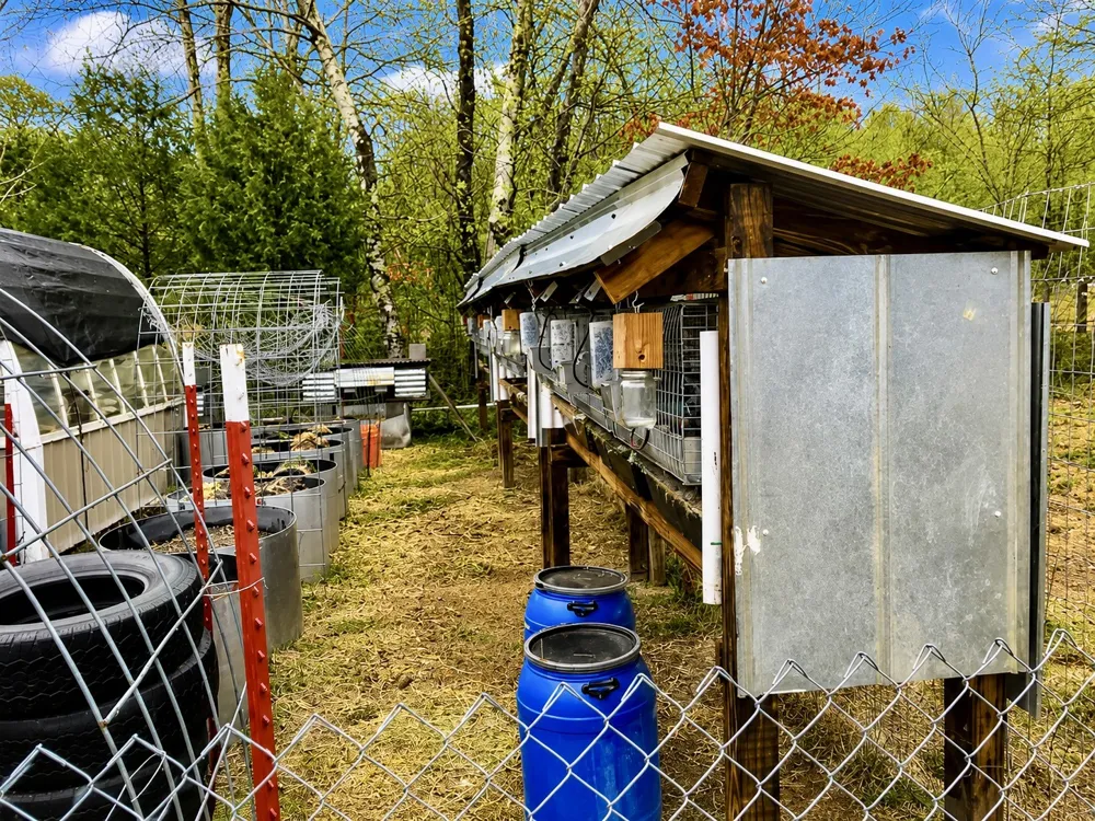 2071 Deer Creek Rd Linden, TN 37096