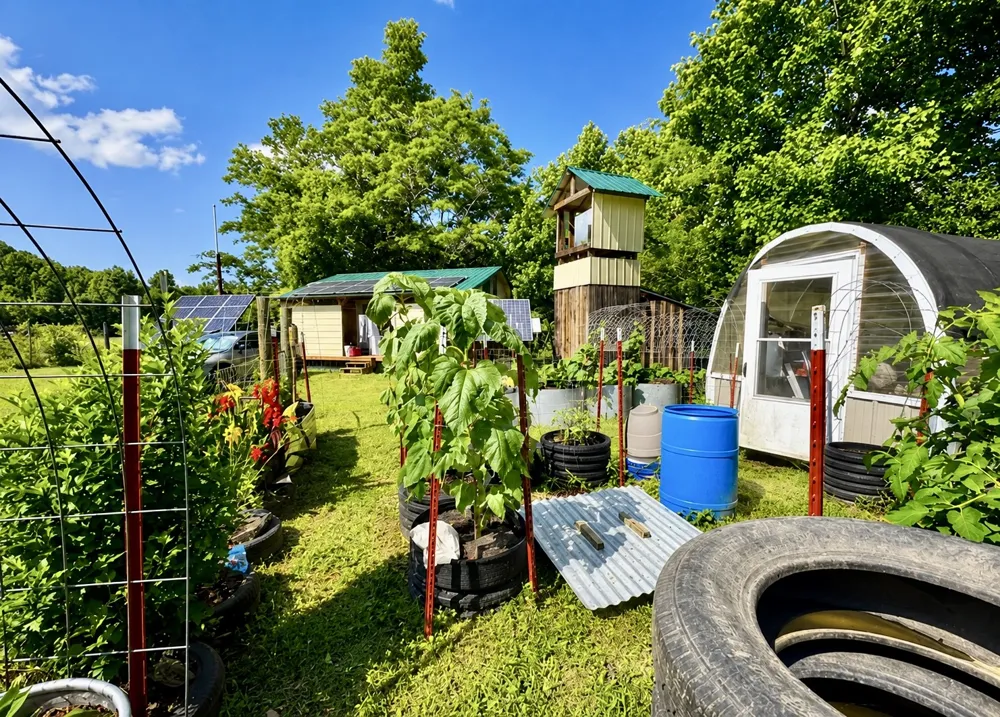 2071 Deer Creek Rd Linden, TN 37096