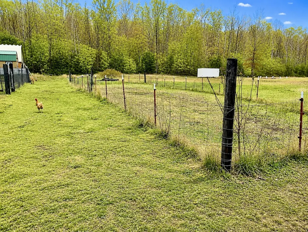 2071 Deer Creek Rd Linden, TN 37096