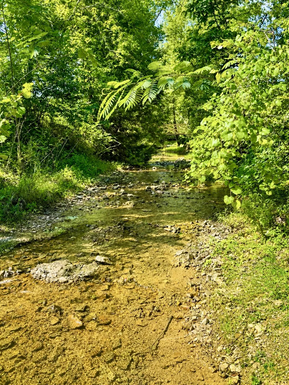 2071 Deer Creek Rd Linden, TN 37096