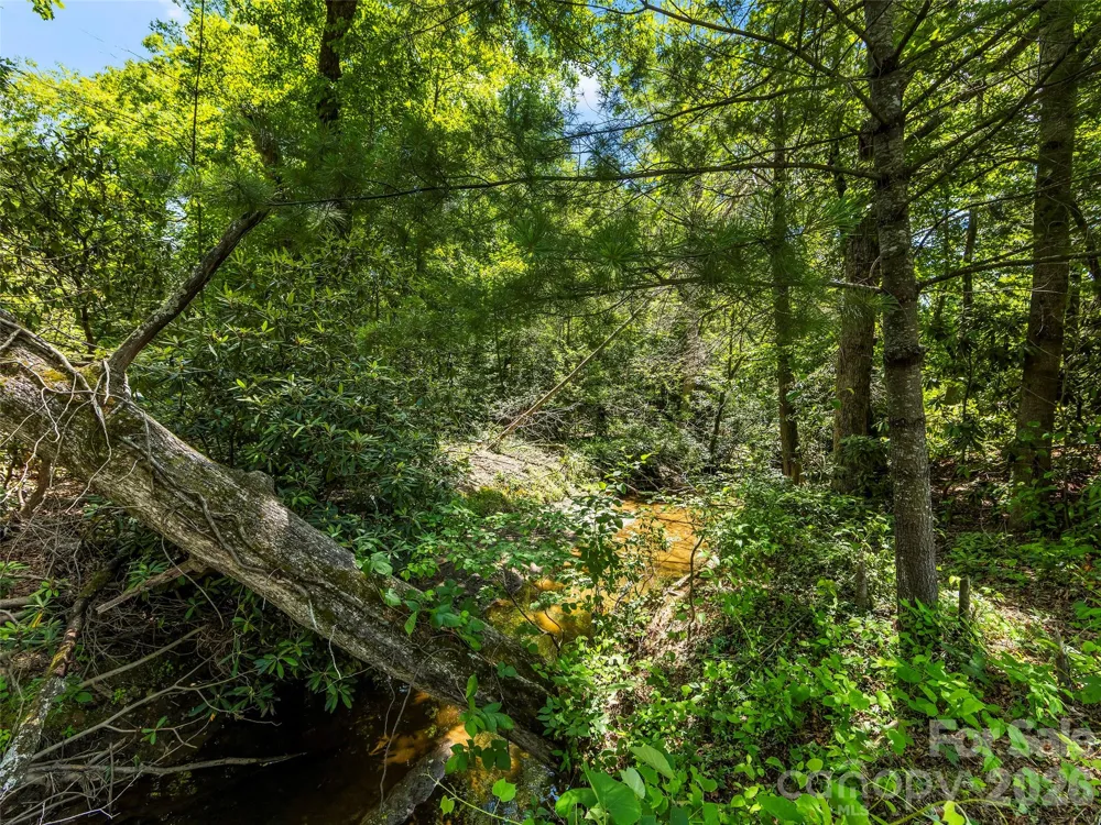 742 Hiawassee Avenue Black Mountain, NC 28711
