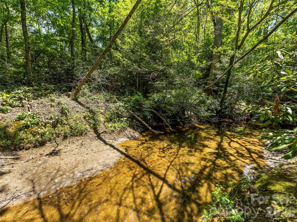 742 Hiawassee Avenue Black Mountain, NC 28711