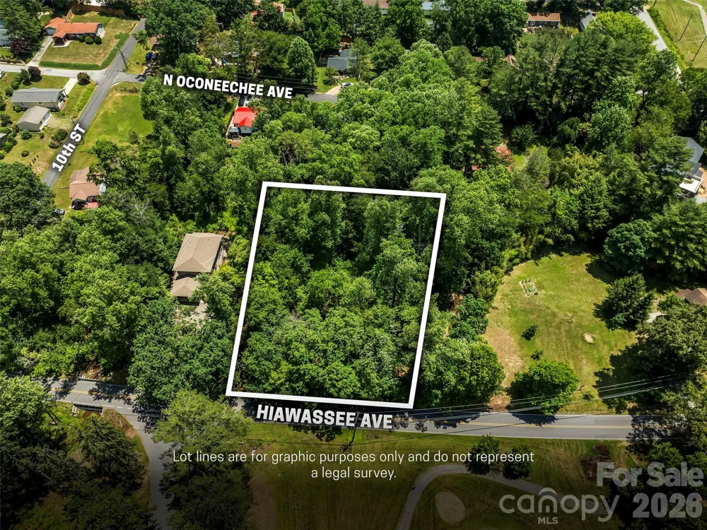 742 Hiawassee Avenue Black Mountain, NC 28711