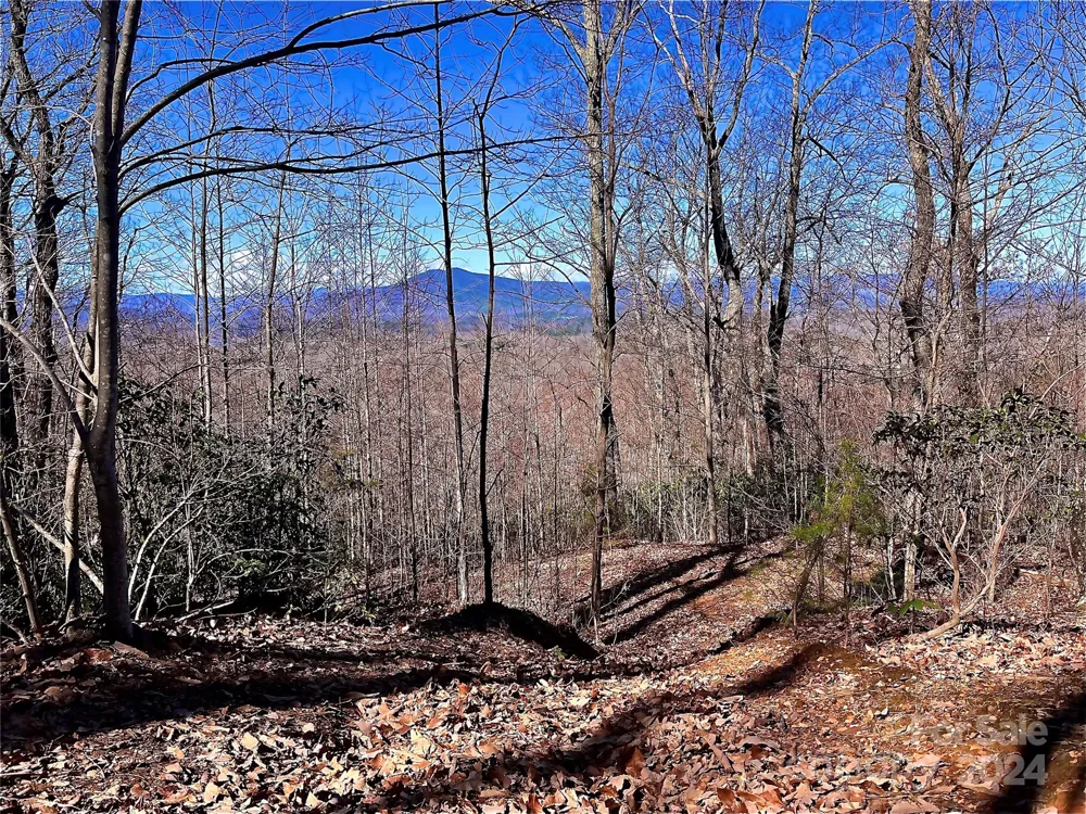 Lot 147 Big View Drive Marion, NC 28752