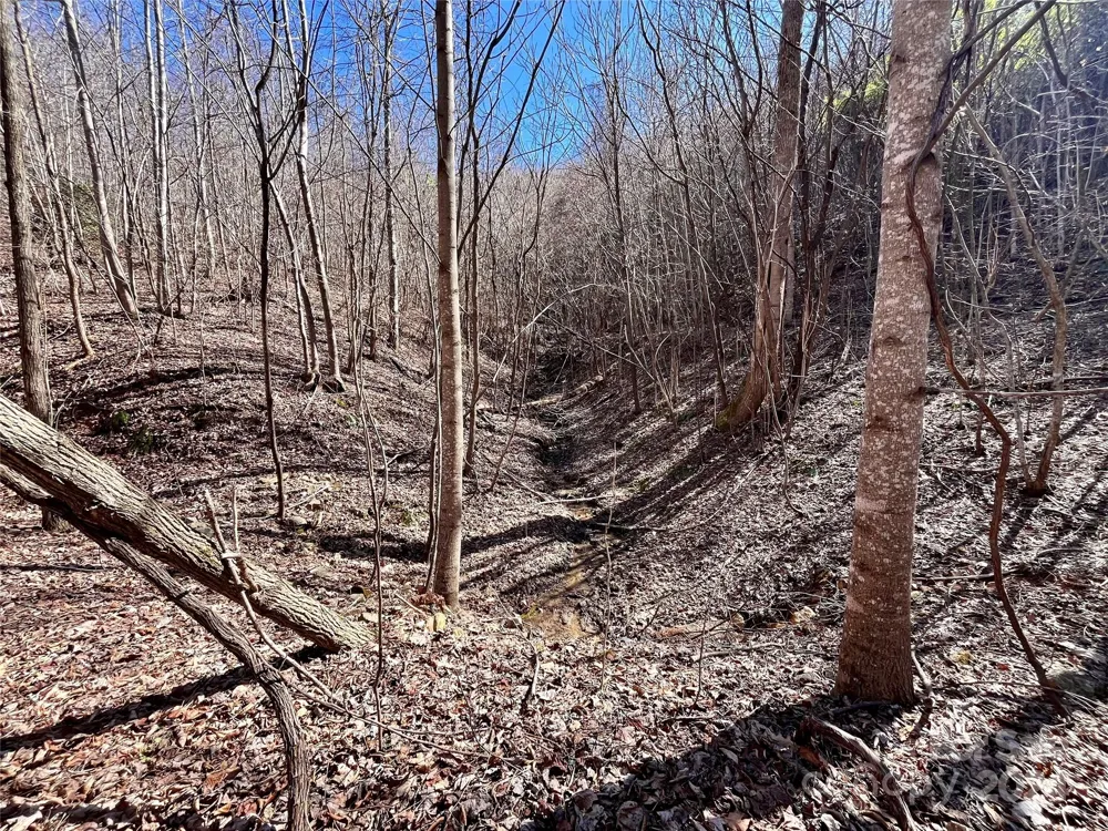 Lot 147 Big View Drive Marion, NC 28752