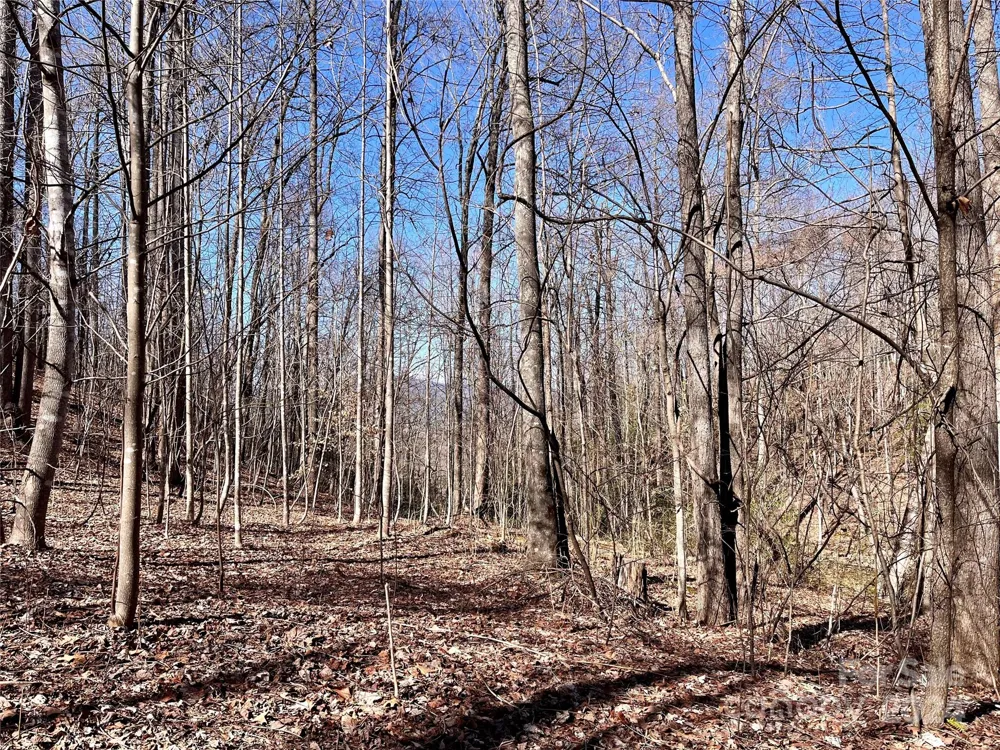 Lot 147 Big View Drive Marion, NC 28752