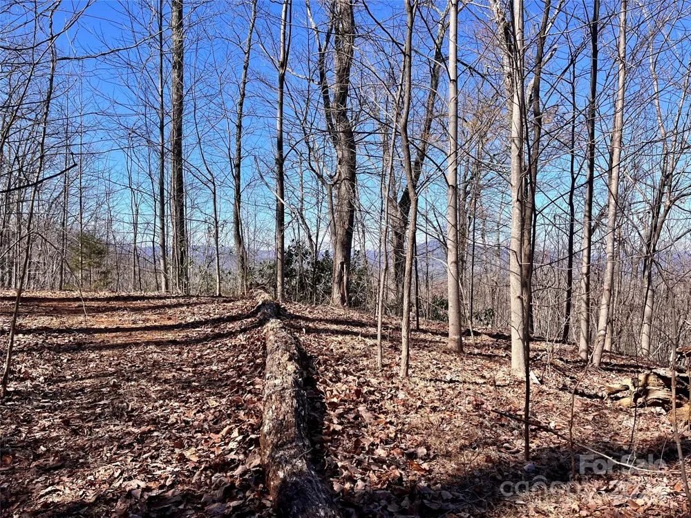 Lot 147 Big View Drive Marion, NC 28752