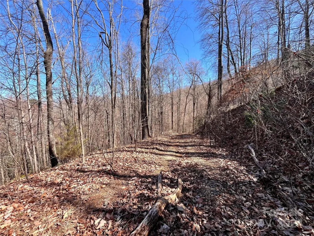 Lot 147 Big View Drive Marion, NC 28752