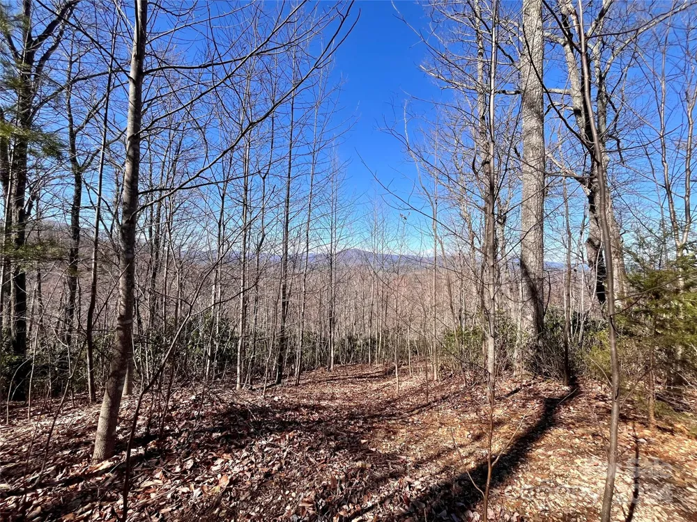Lot 147 Big View Drive Marion, NC 28752