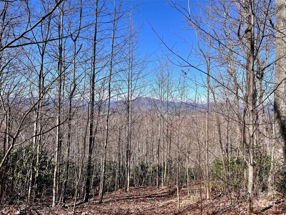 Lot 147 Big View Drive Marion, NC 28752