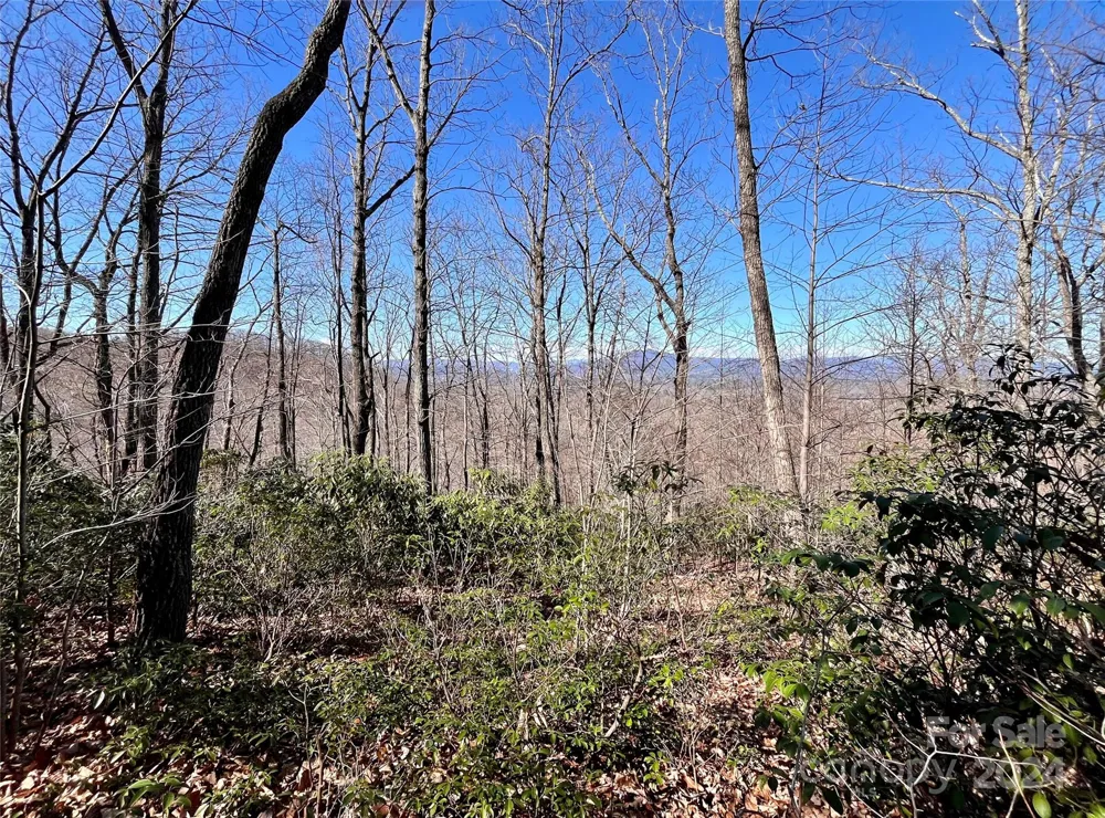 Lot 147 Big View Drive Marion, NC 28752