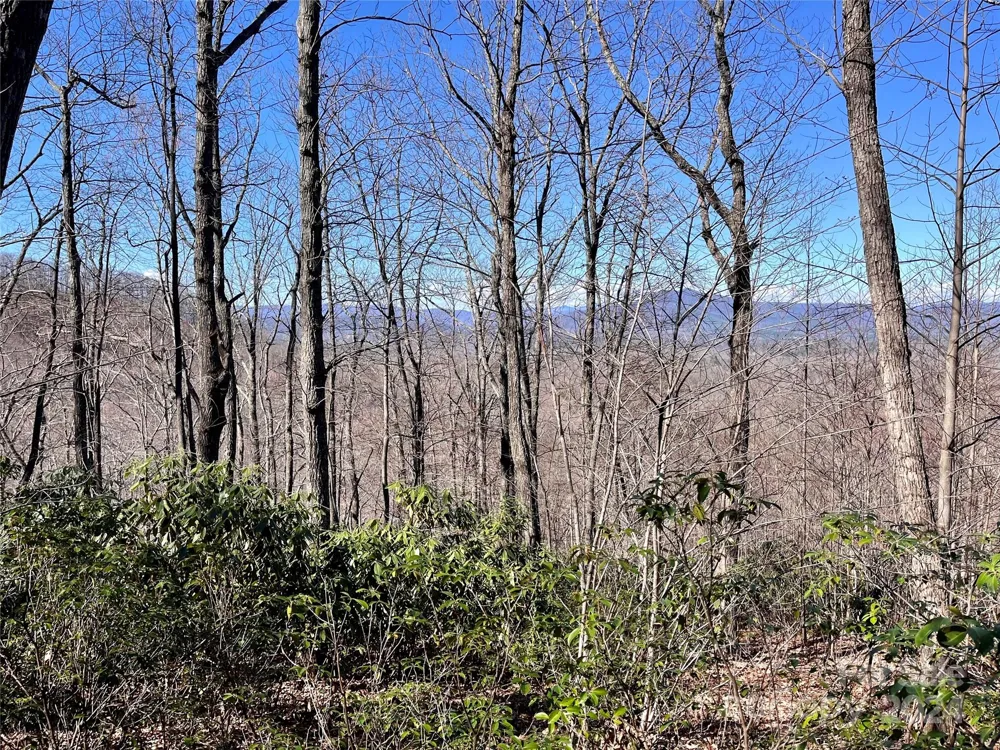 Lot 147 Big View Drive Marion, NC 28752