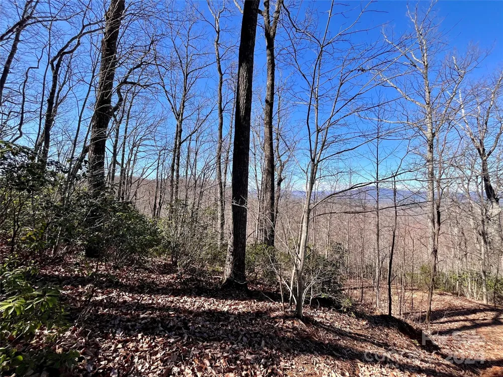 Lot 147 Big View Drive Marion, NC 28752