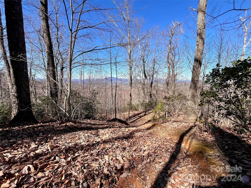 Lot 147 Big View Drive Marion, NC 28752