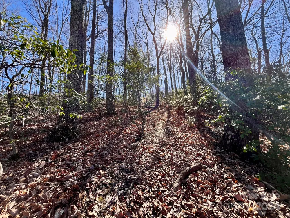 Lot 147 Big View Drive Marion, NC 28752