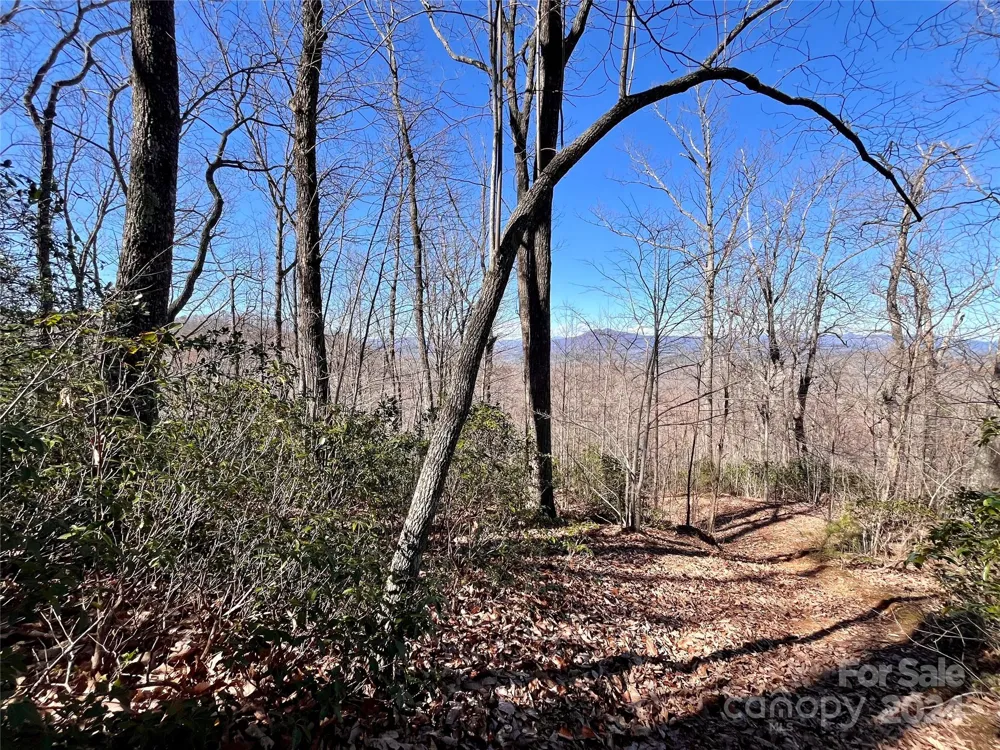 Lot 147 Big View Drive Marion, NC 28752