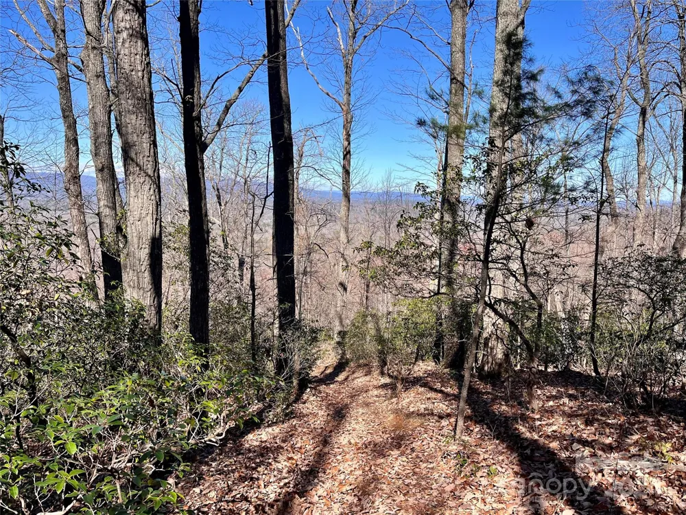 Lot 147 Big View Drive Marion, NC 28752