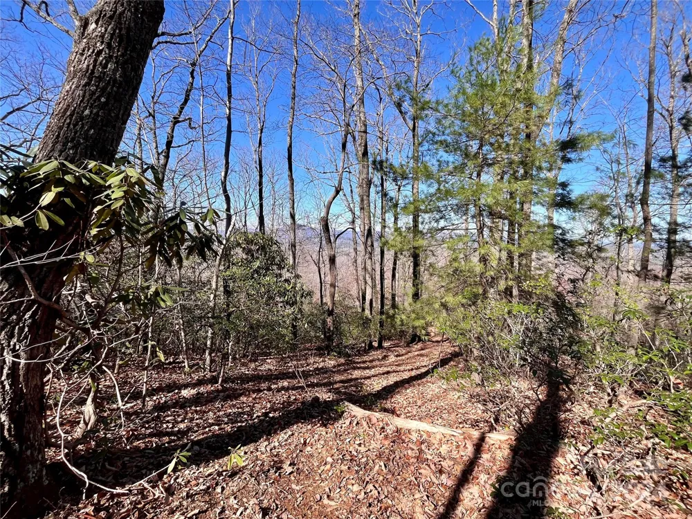 Lot 147 Big View Drive Marion, NC 28752