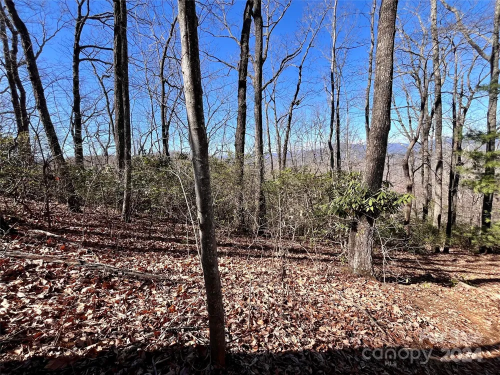 Lot 147 Big View Drive Marion, NC 28752