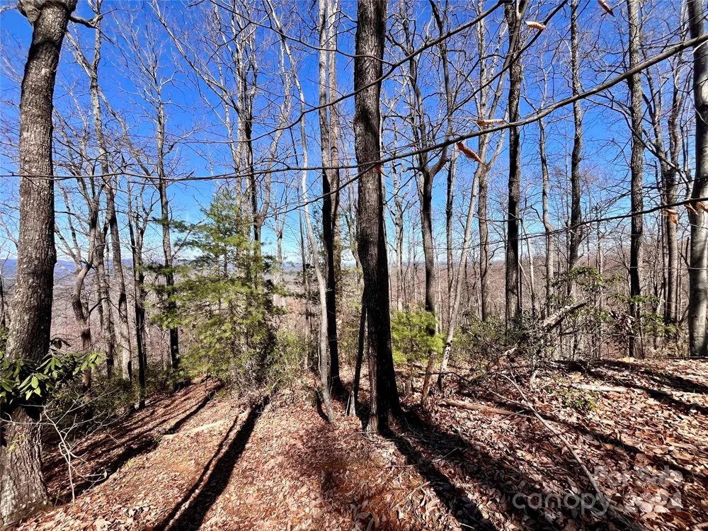Lot 147 Big View Drive Marion, NC 28752